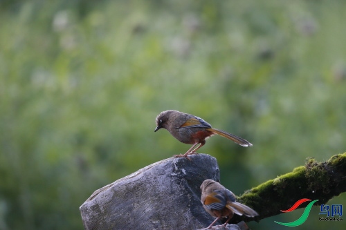 DPP_0624.JPG