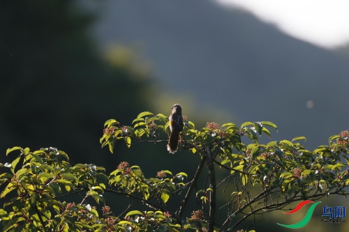 DPP_0794.JPG