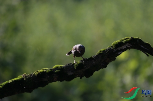 DPP_0952.JPG