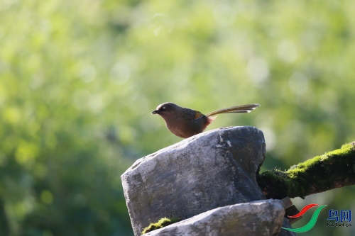 DPP_0980.JPG