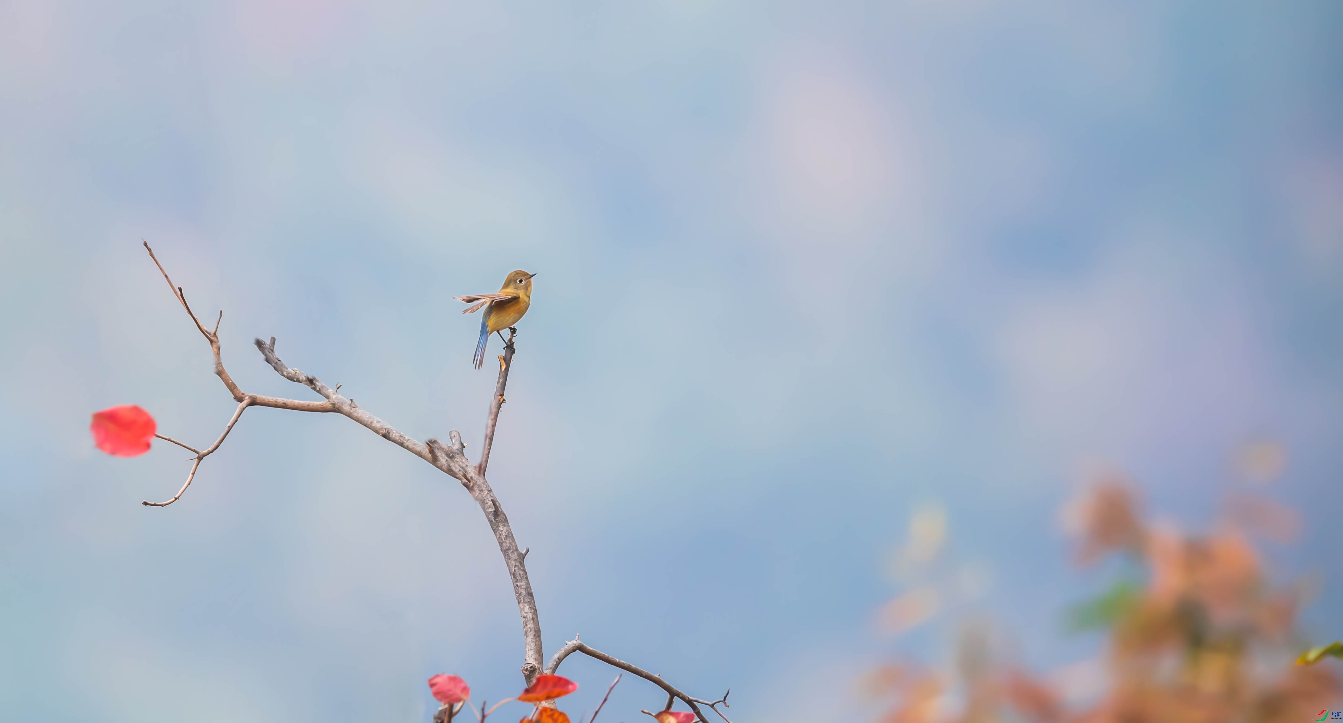 DSC_1304-1.jpg