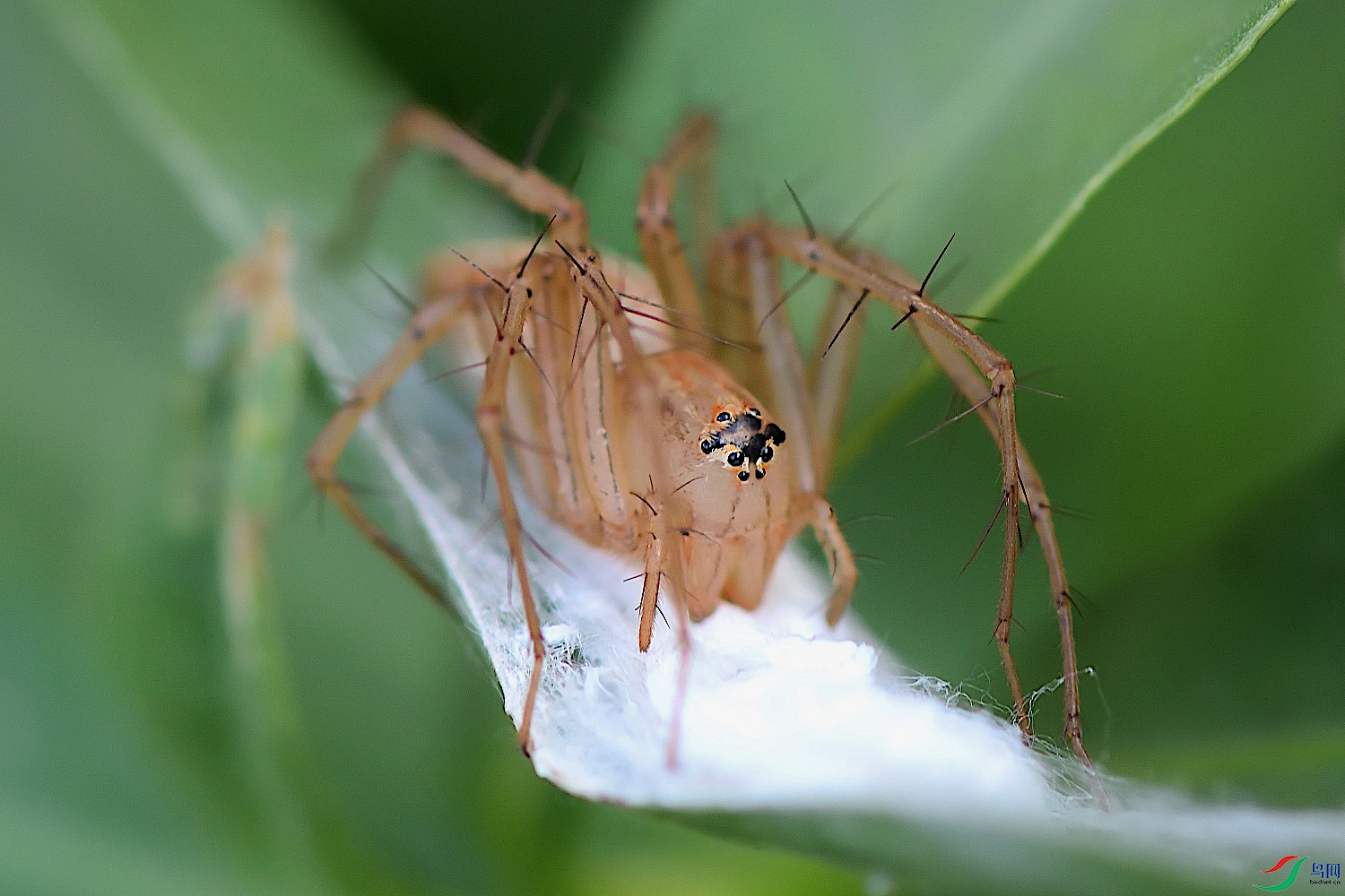 DSC_7703_00001.jpg