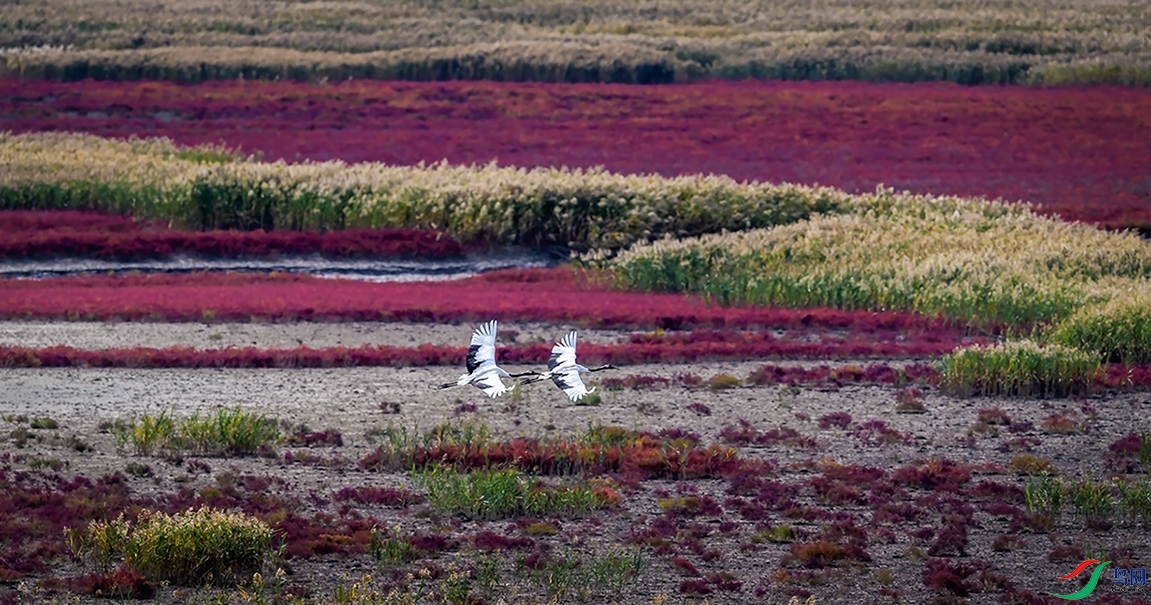 �������̽��캣̲��