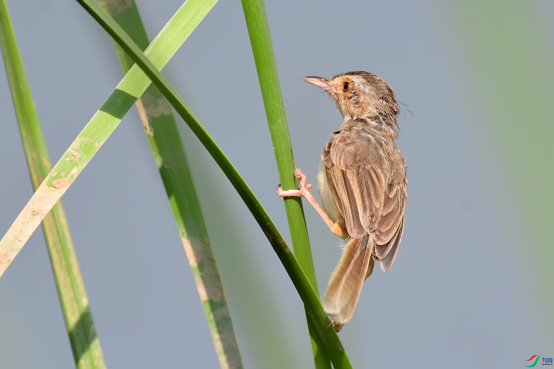 DSC_3696.jpg