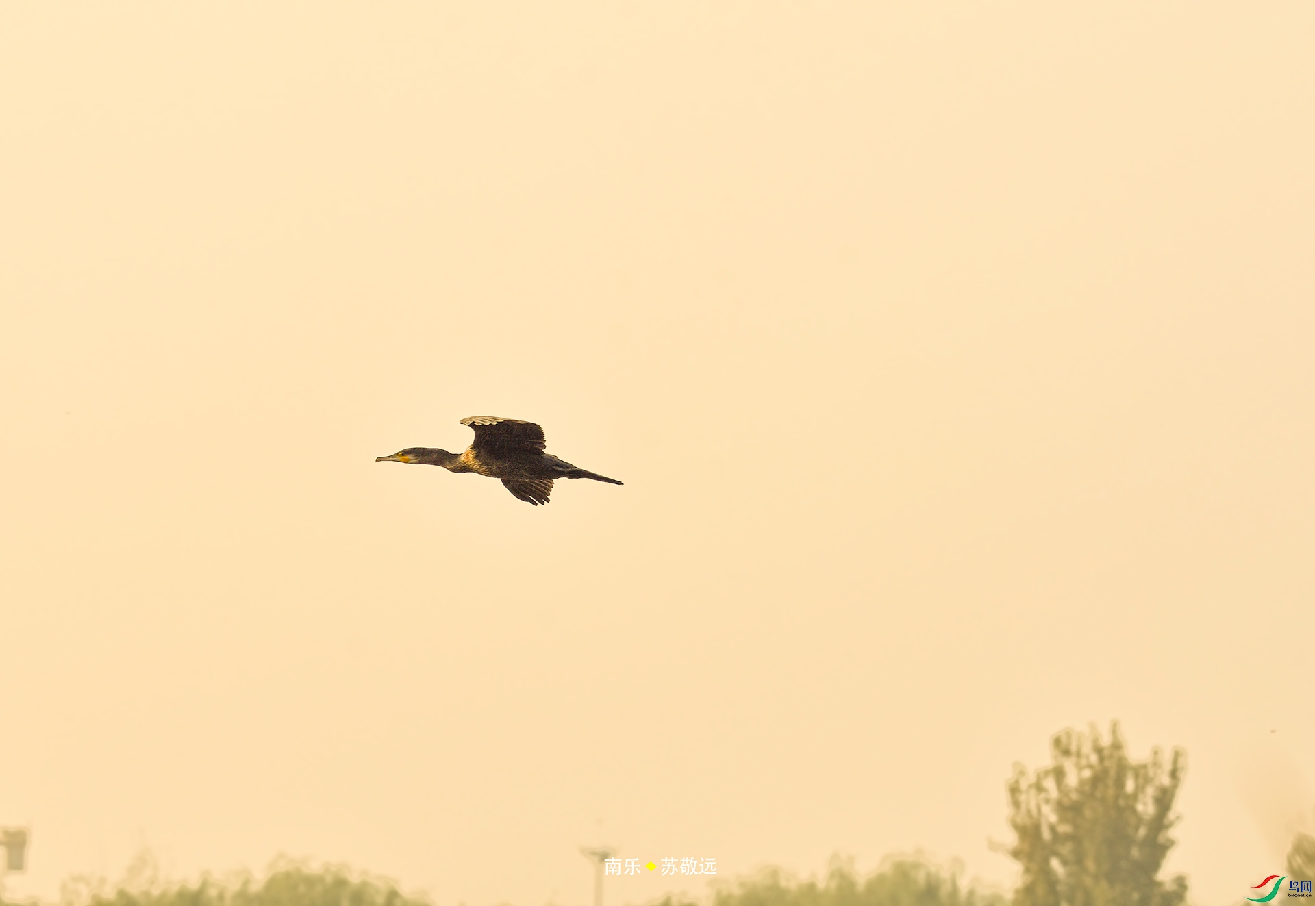 _DSC6113С.jpg