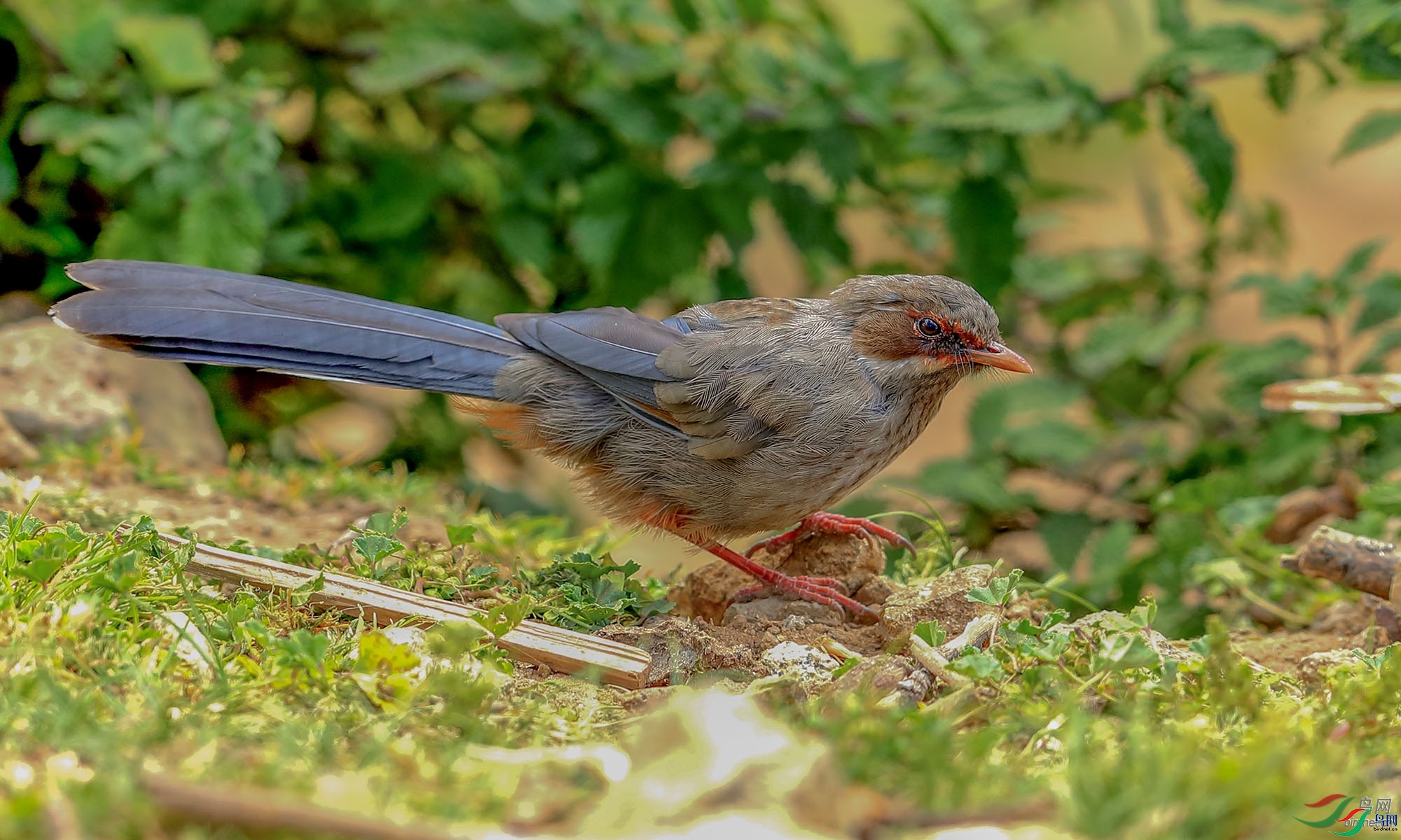 ��������  ��ʦ����.jpg