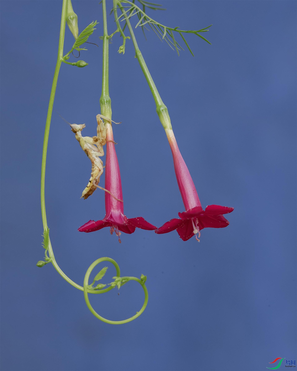 C13A8323a3.jpg