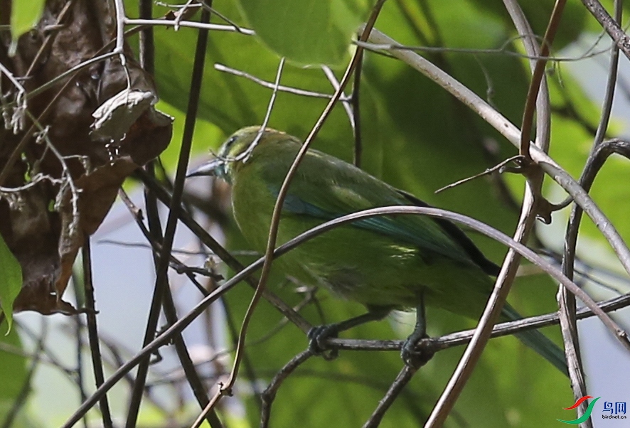 ����� (7)����.jpg