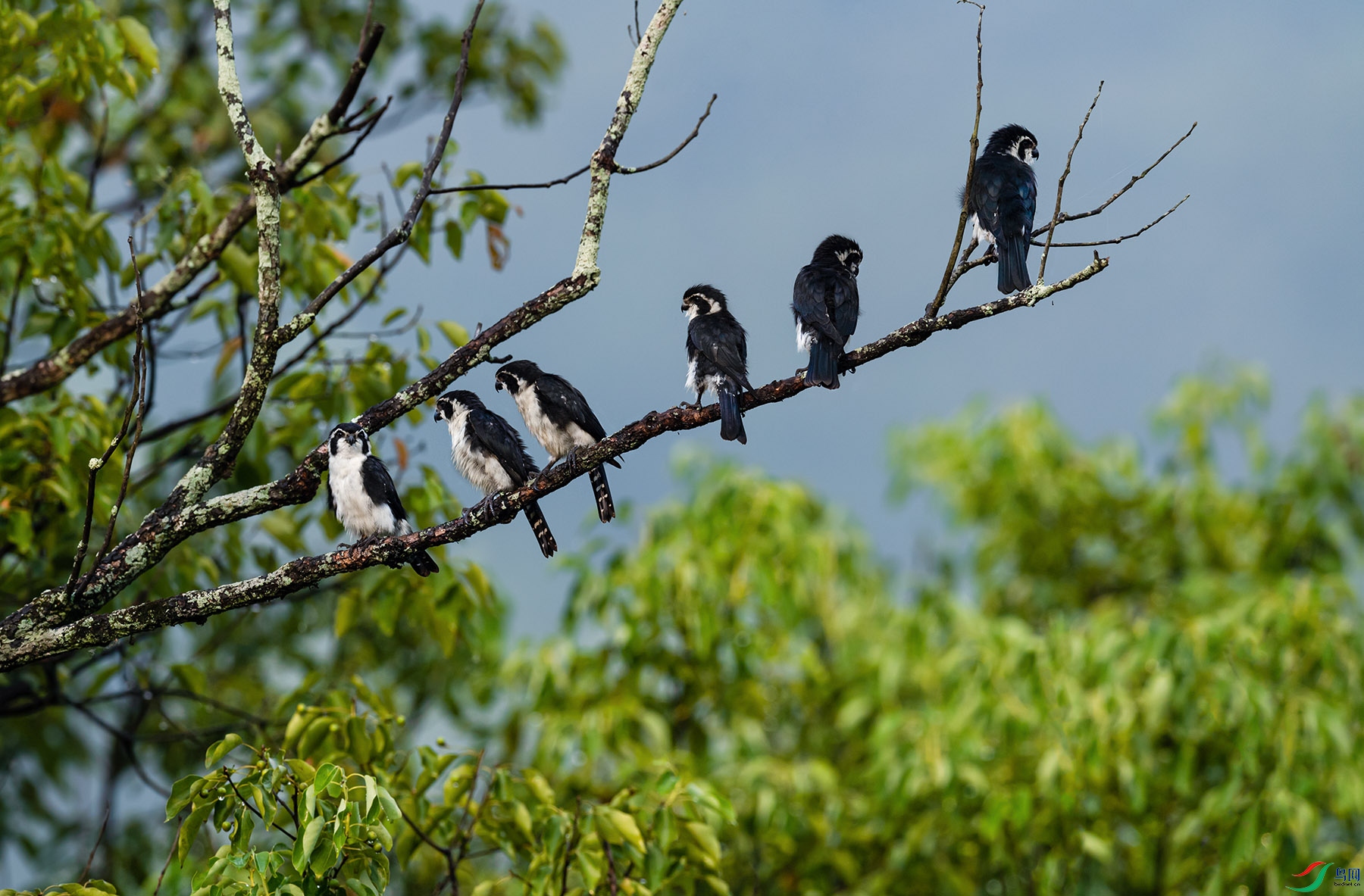 DSC_2565.jpg