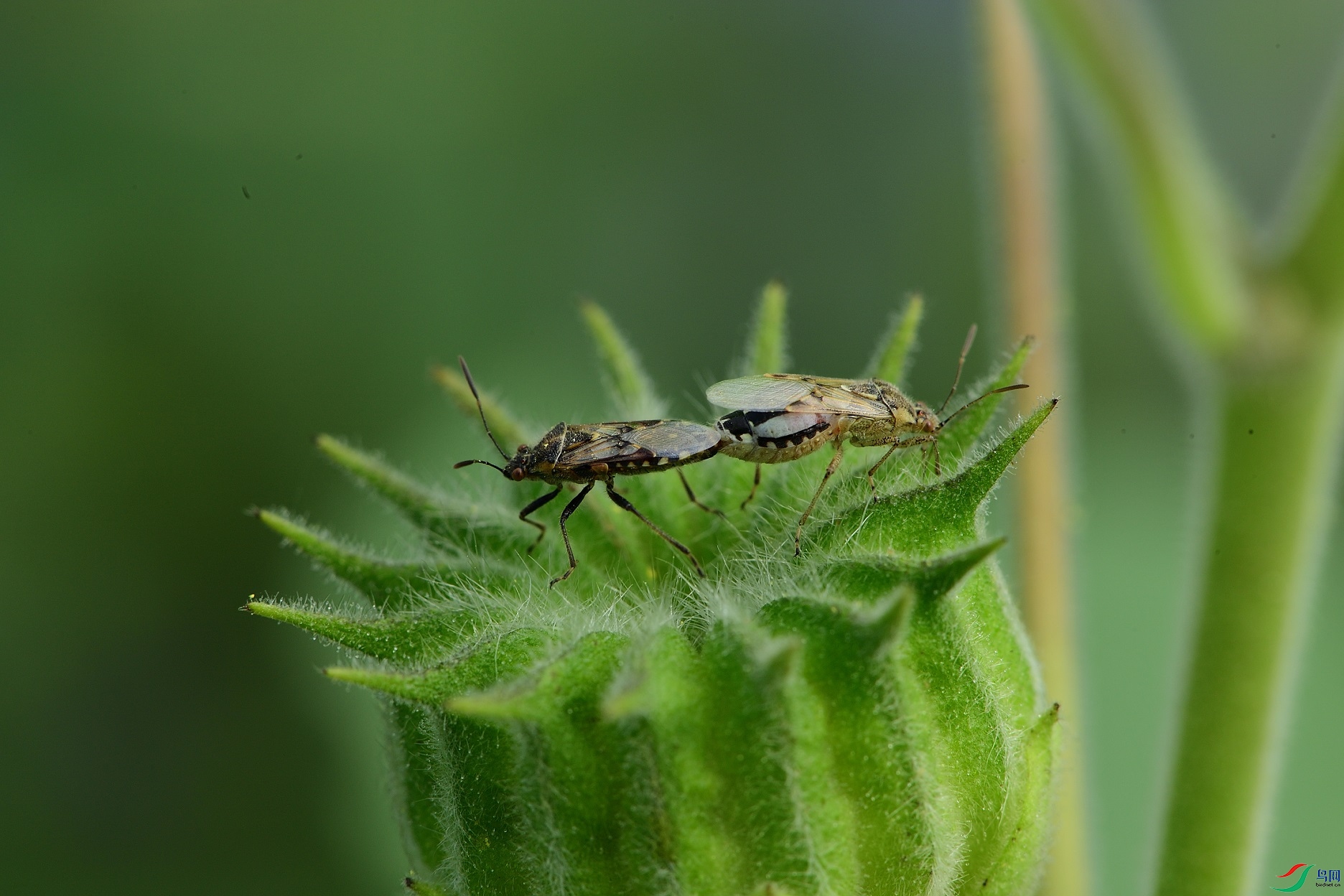 DSC_8343_00001.jpg