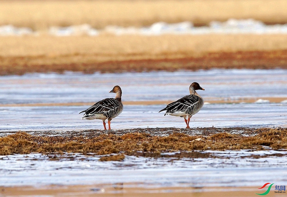 ���� 0088.jpg