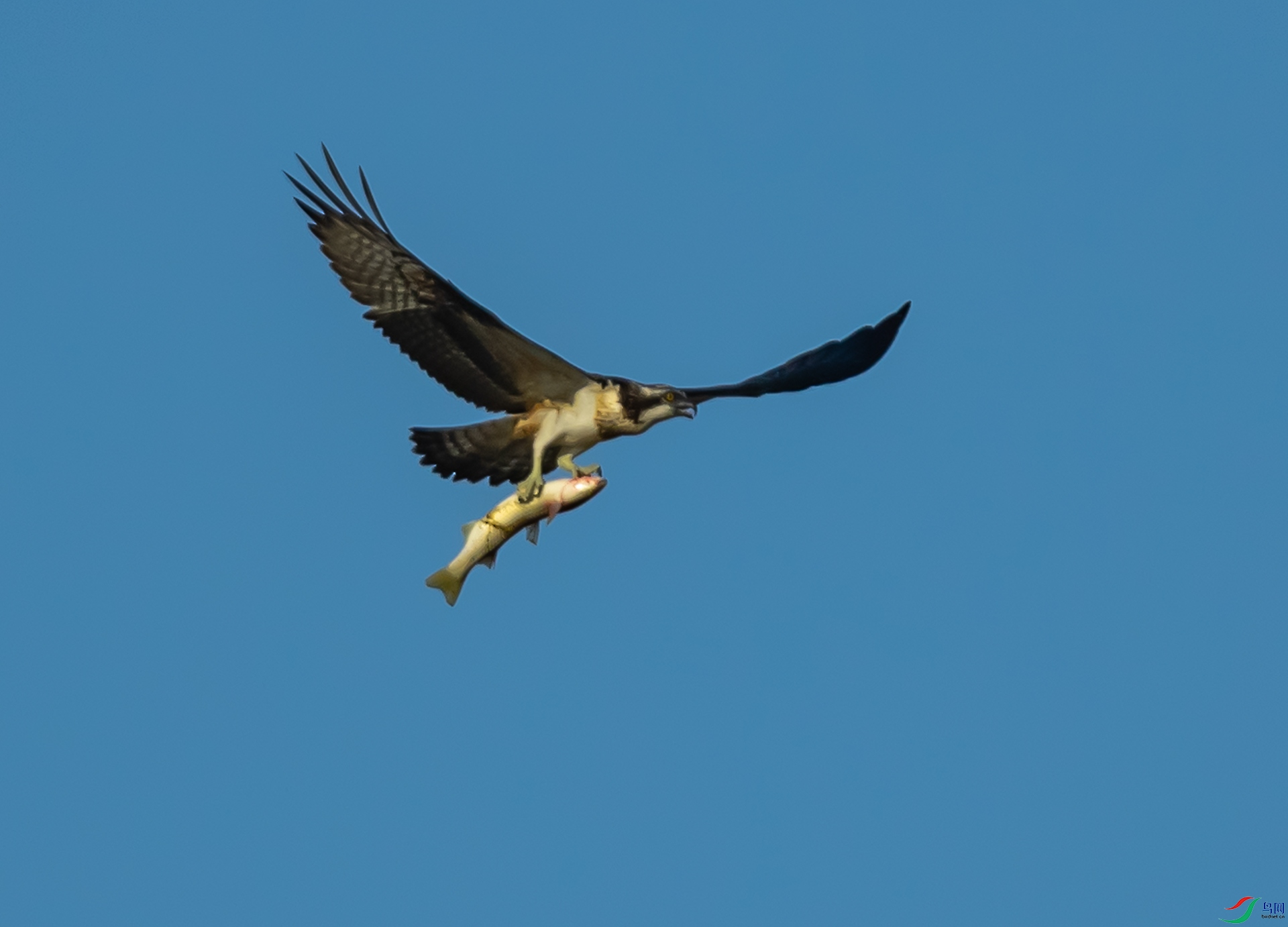 DSC_2904.jpg