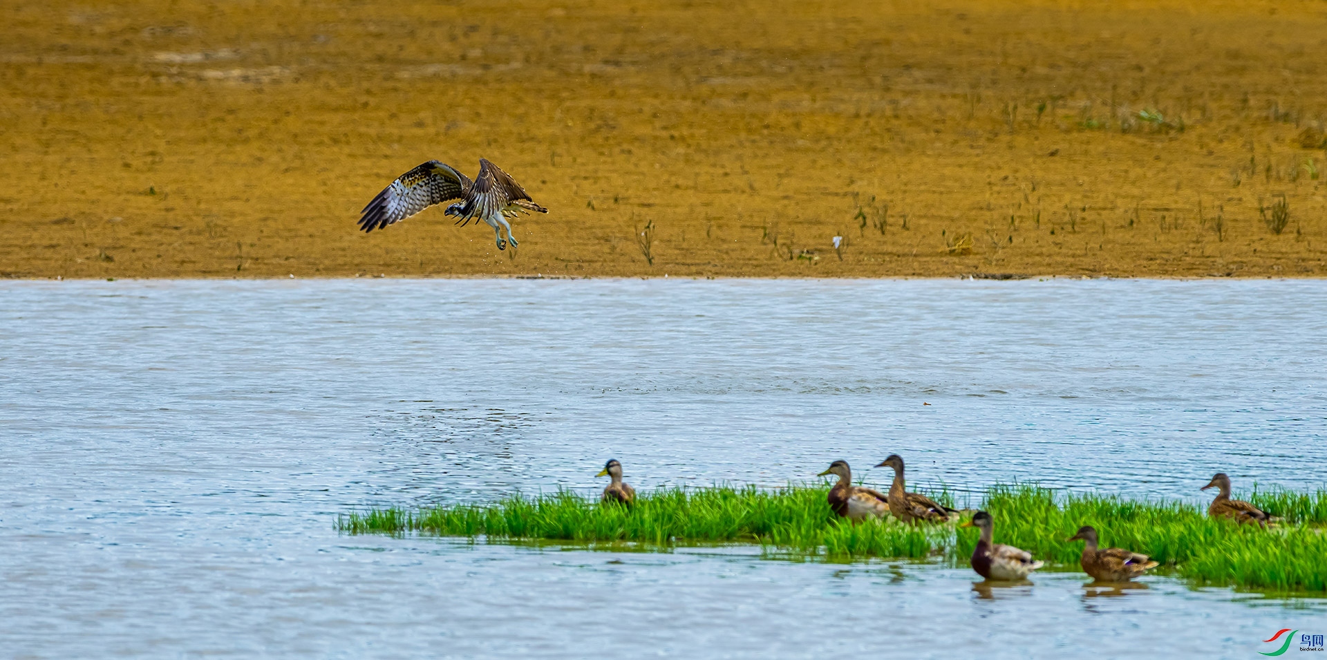 DSC_8560.jpg