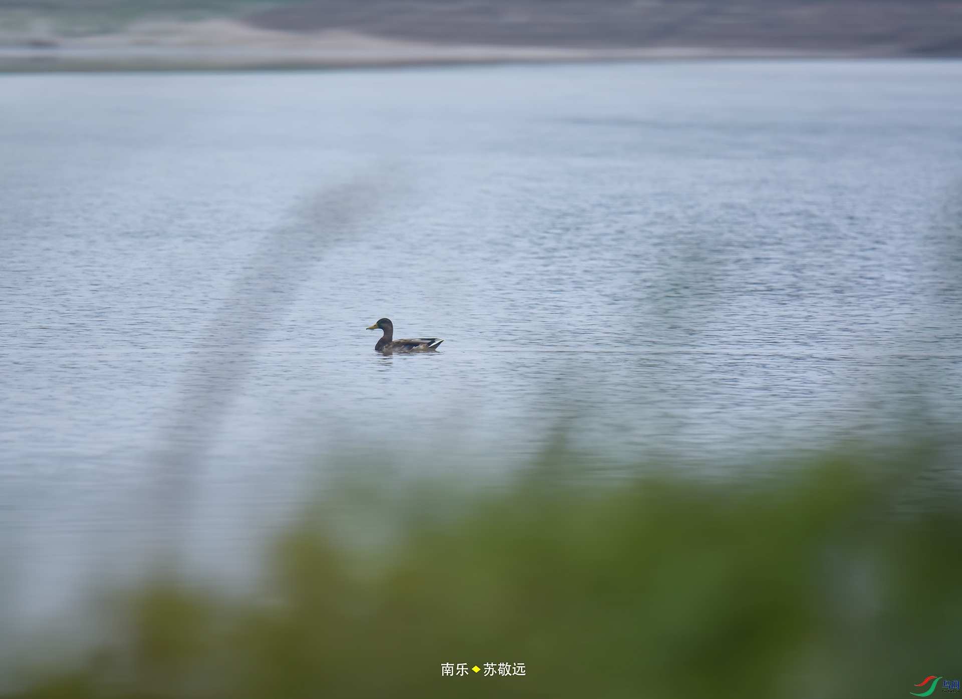 _DSC6267С.jpg