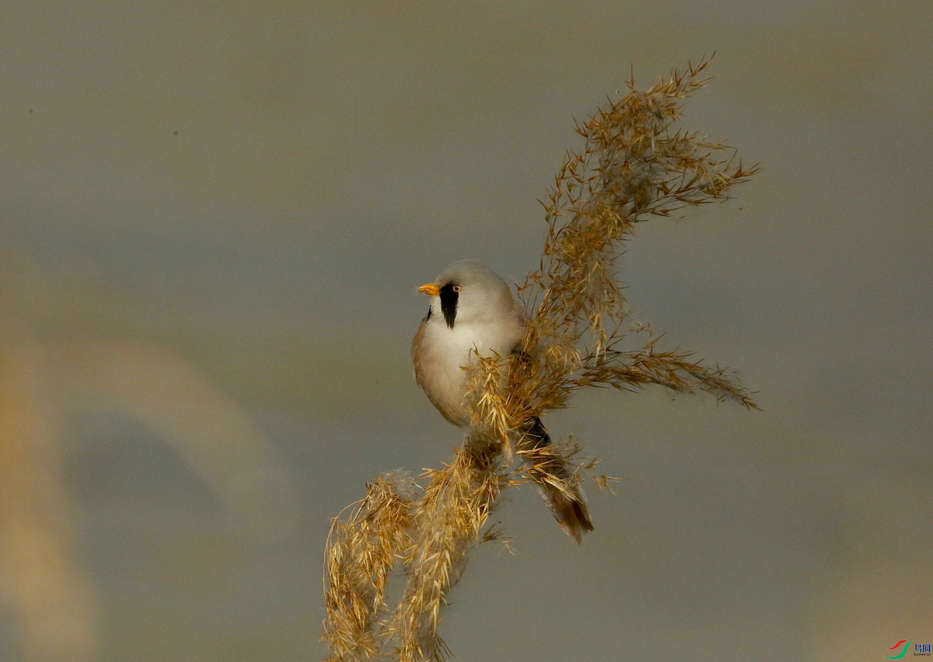 ����ȸ 0023.jpeg