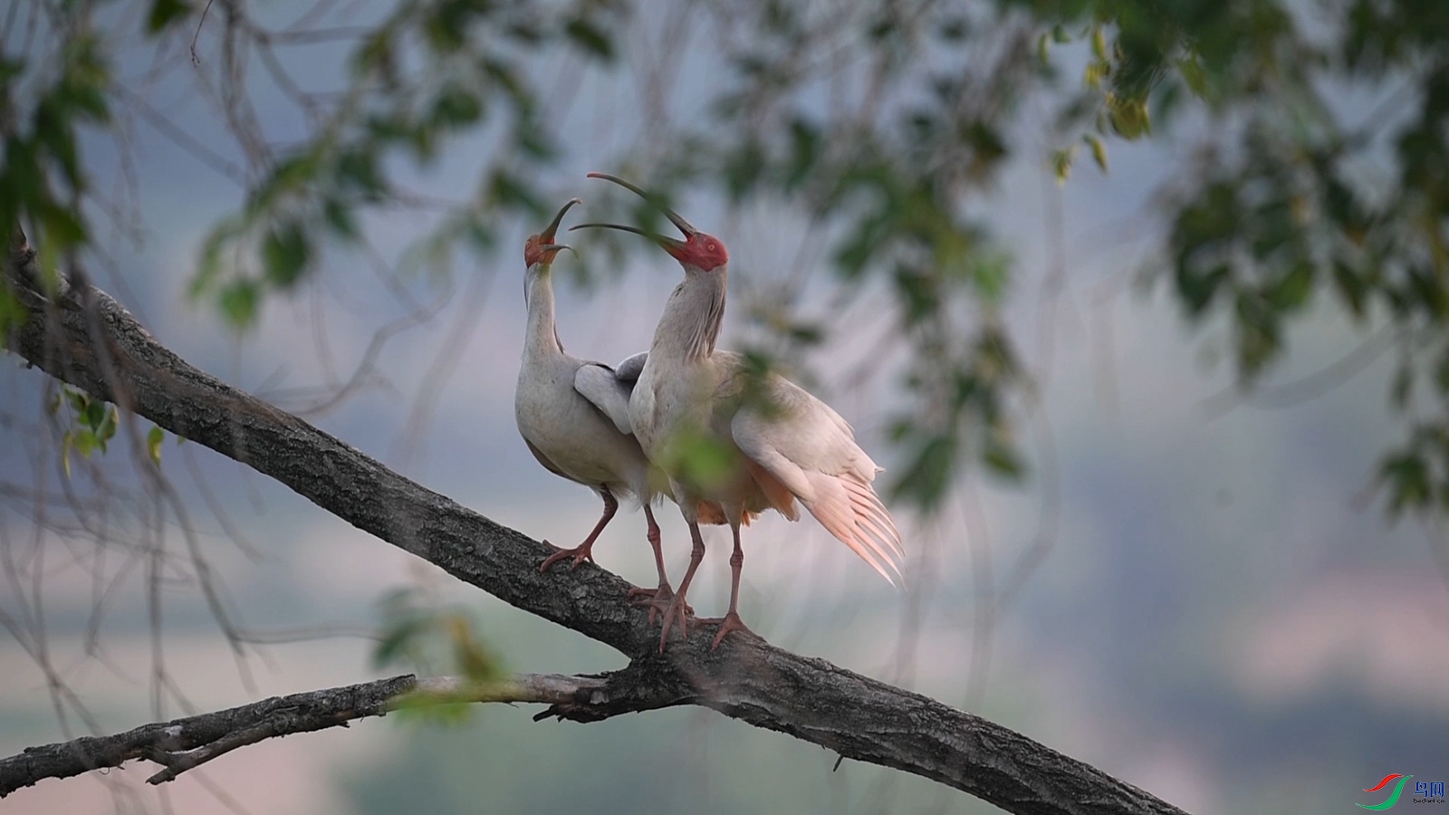 ����  ���q  ��.00_01_33_23.��ֹ001_����.jpg