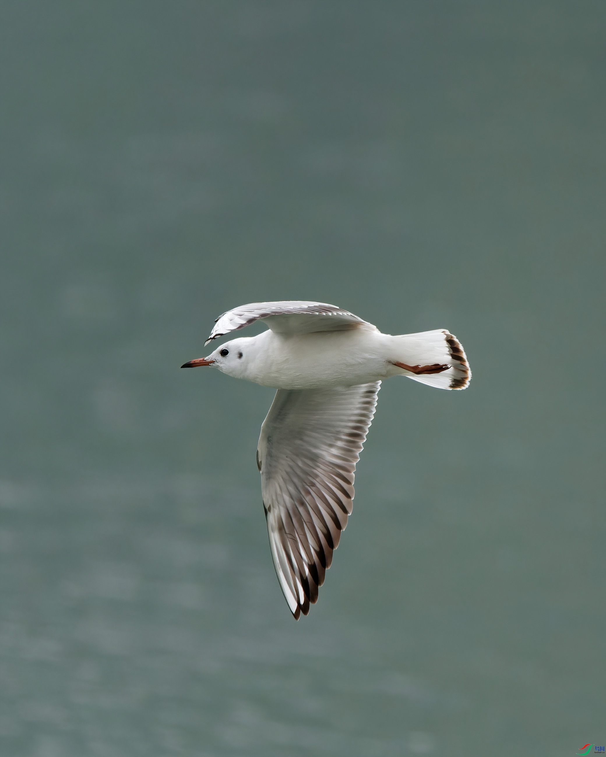 P1053891_DxO-d2.jpg