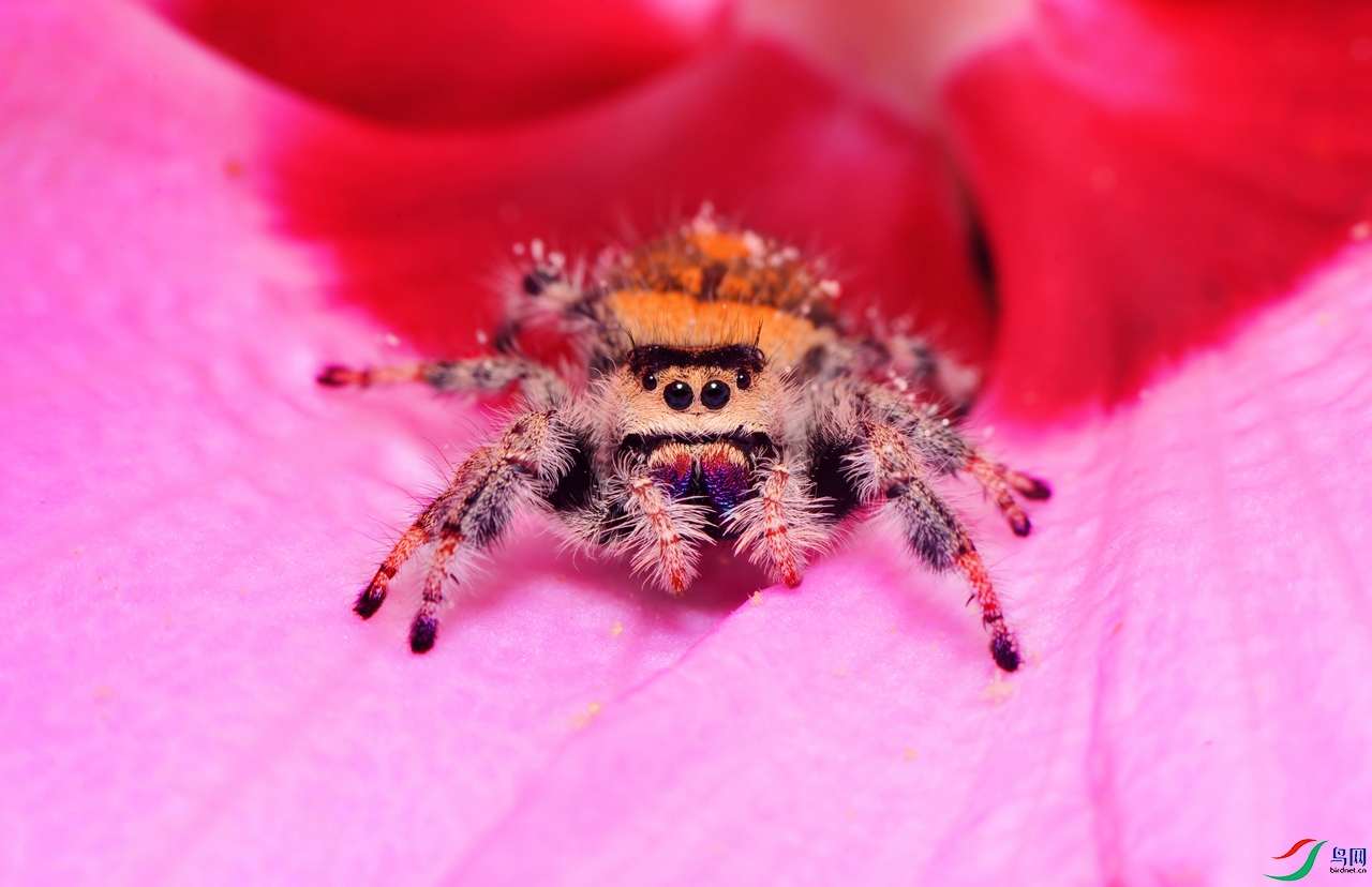 DSC_8204.JPG