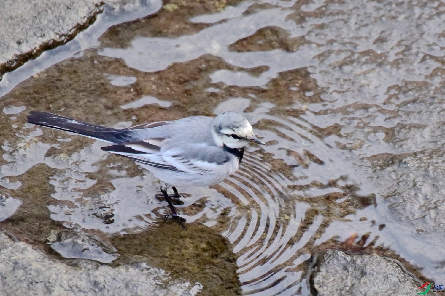DSC_2101.JPG