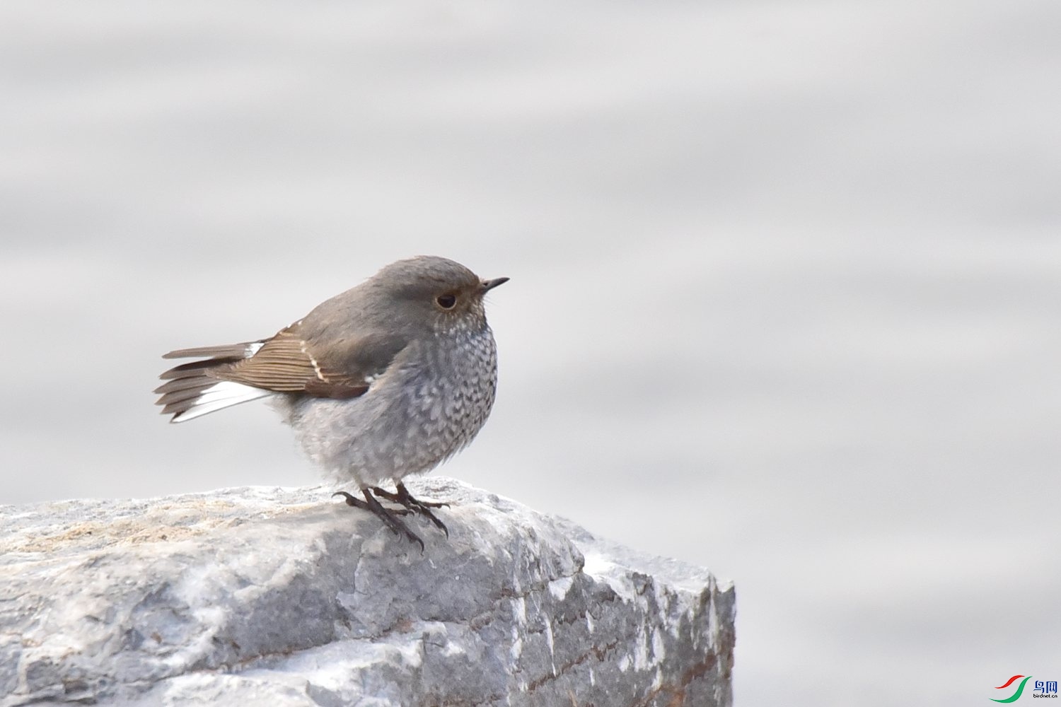 DSC_1214.JPG
