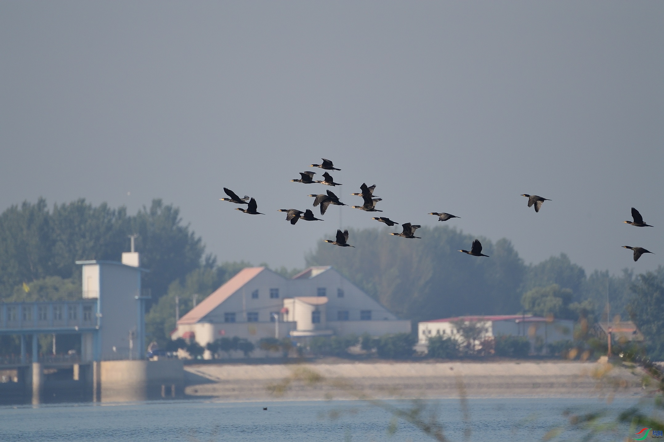 DSC_0485_00001.jpg