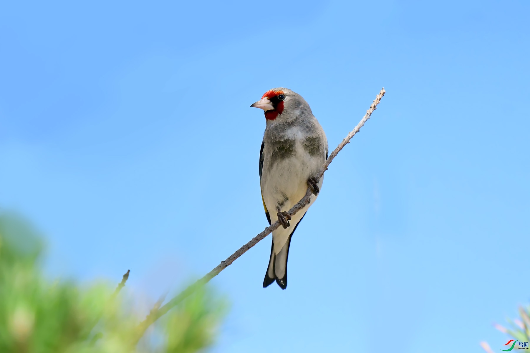 DSC_1684.jpg