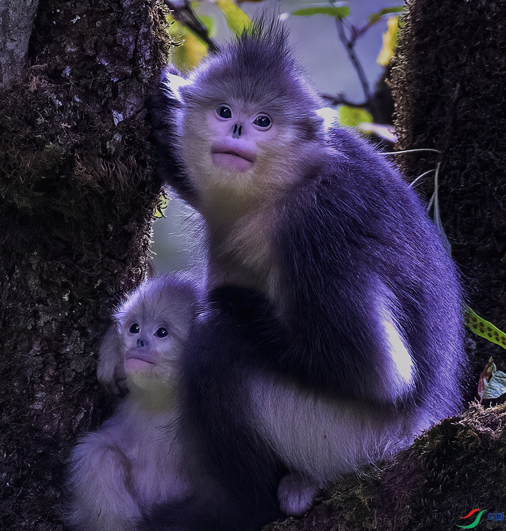 _58I4572 ���˿��3��С���أ�.jpg