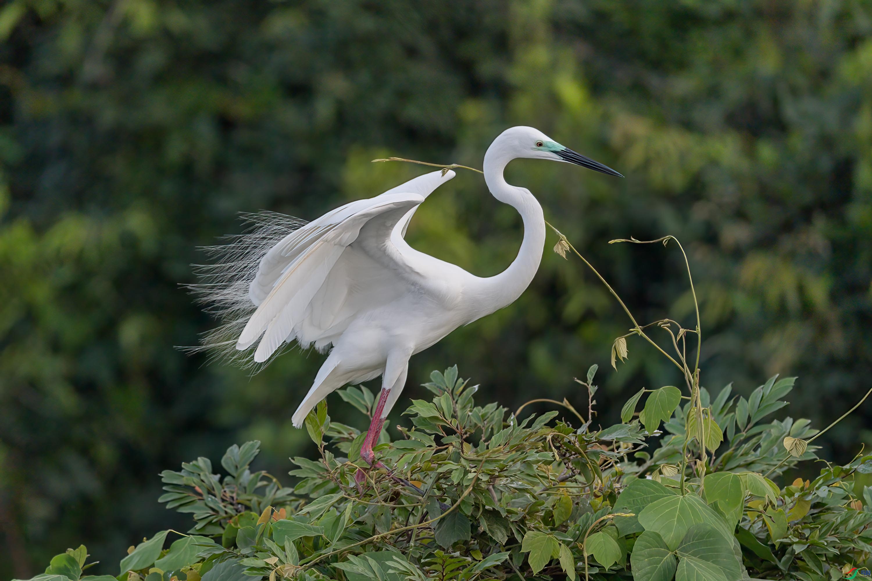 DSC_1248_1.jpg