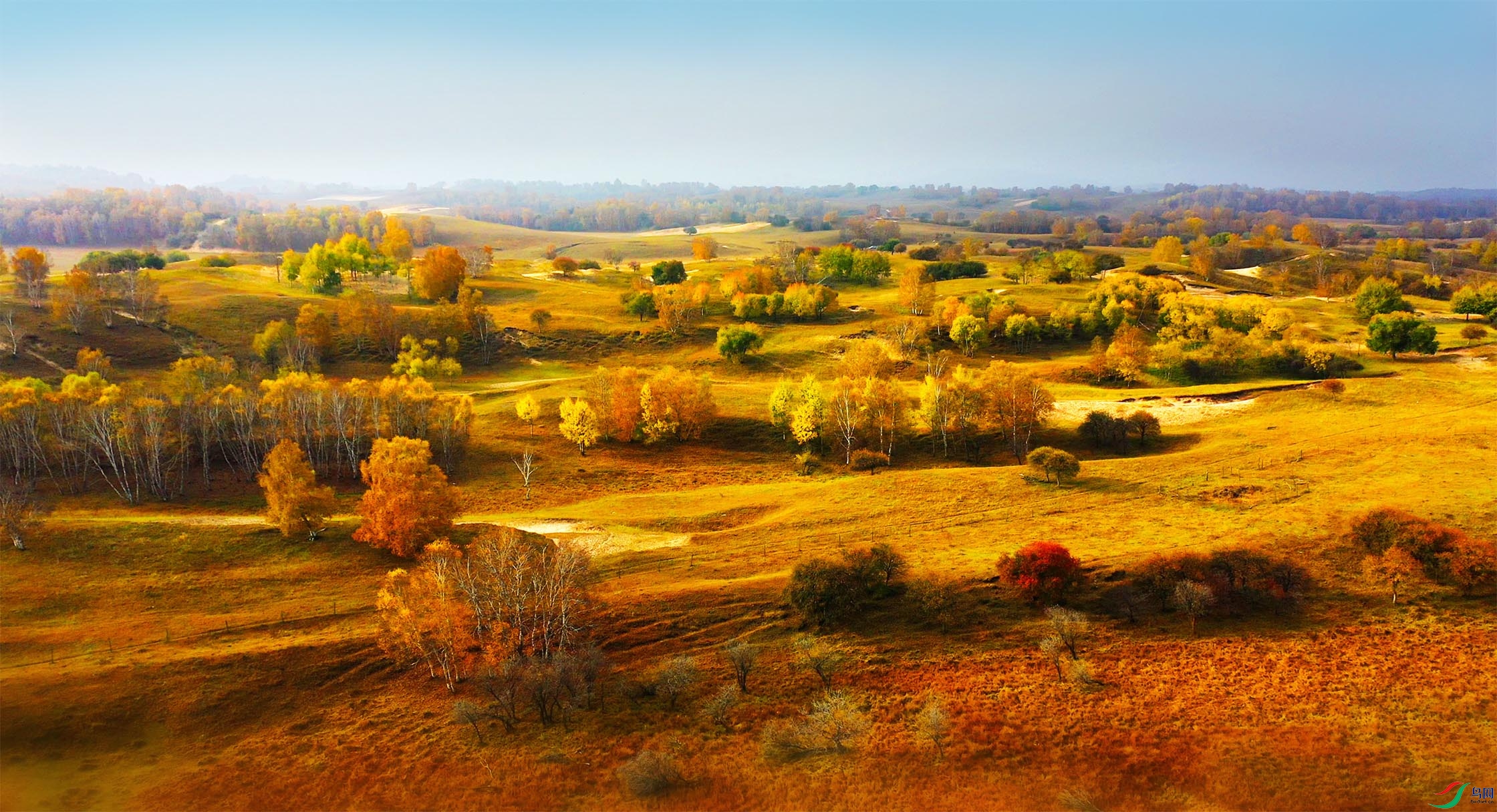 DJI_0921-��.jpg