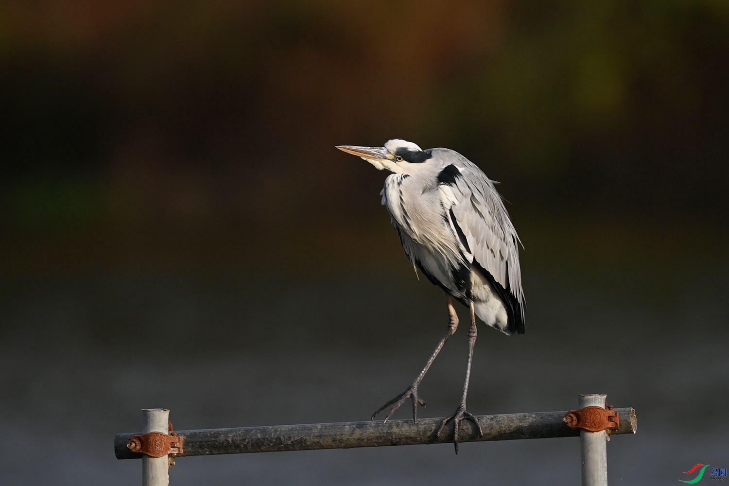 DSC_3277.jpg
