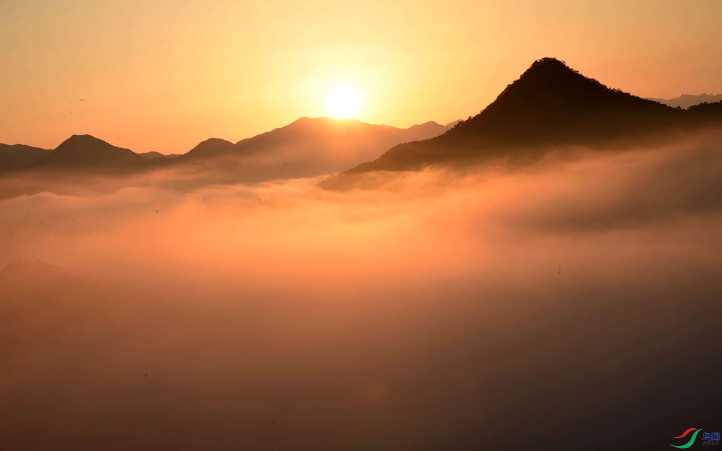 321 (126b)_����_����.jpg