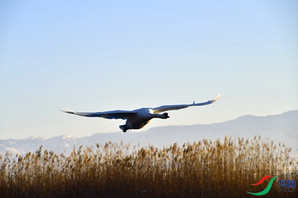 File0000079349.jpg