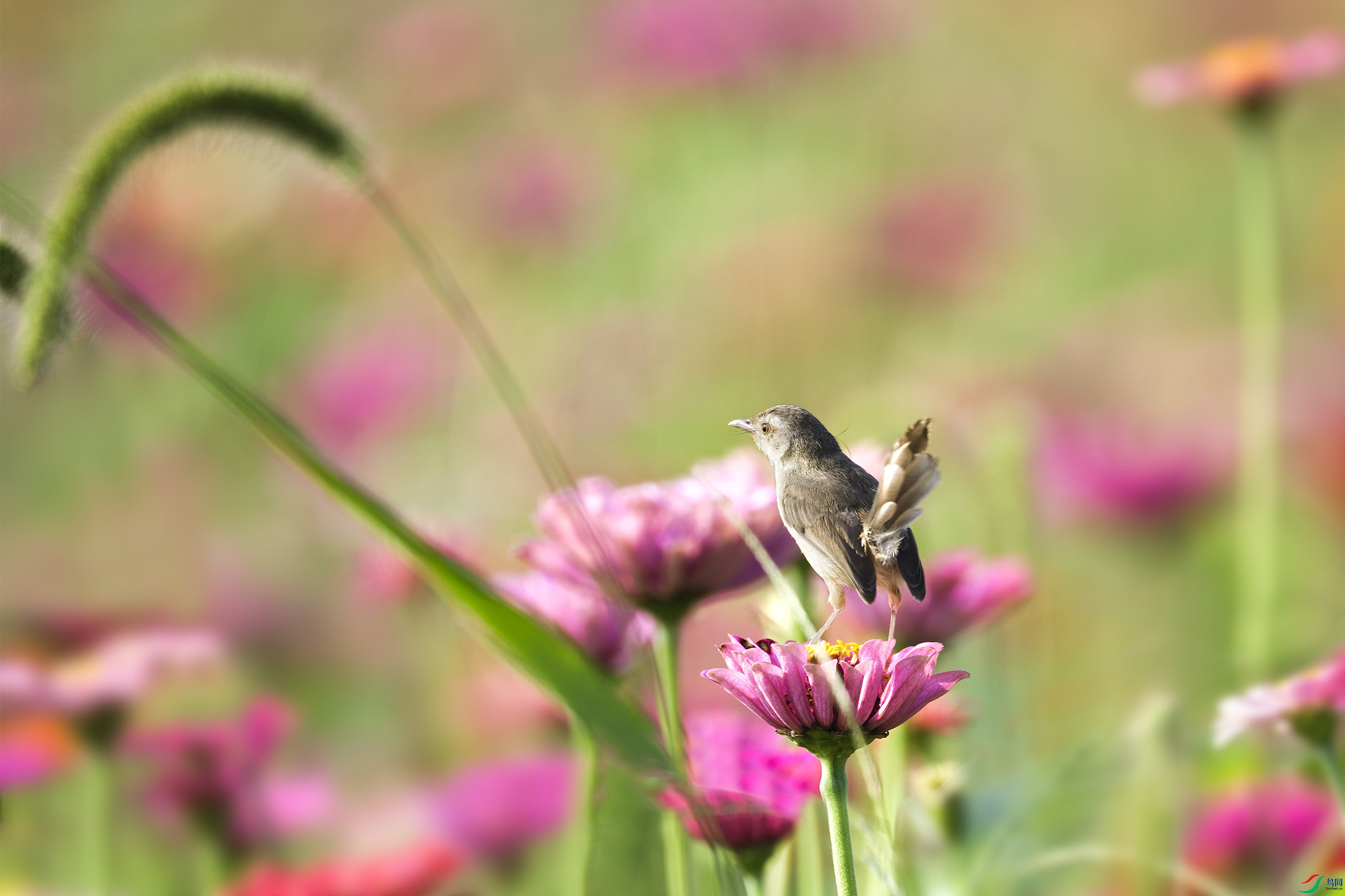 _DSC9086_DxO.jpg
