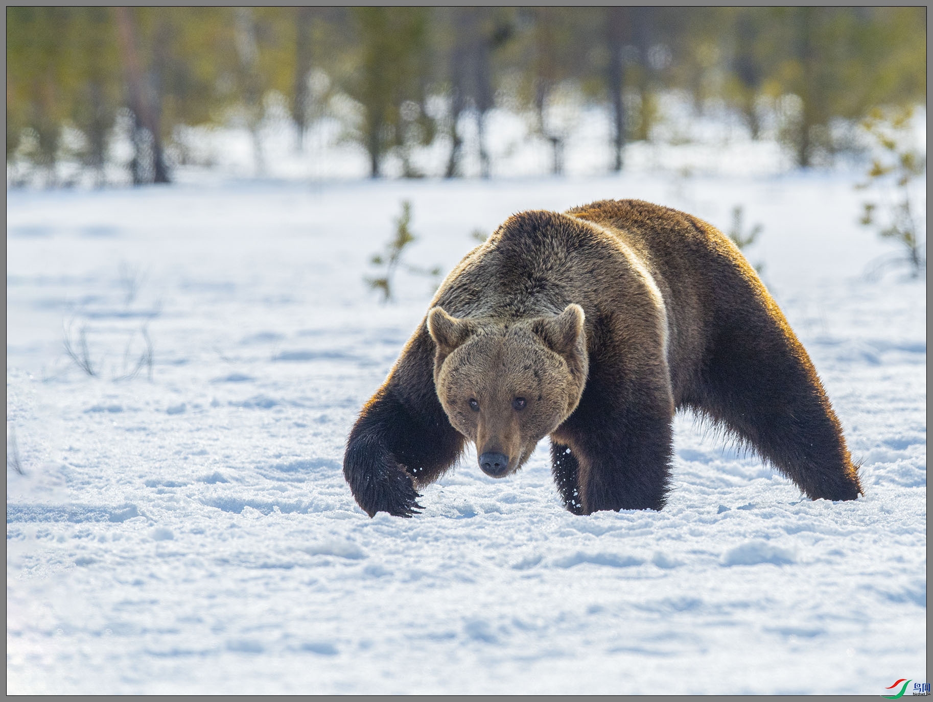 ��DSC_6820.jpg