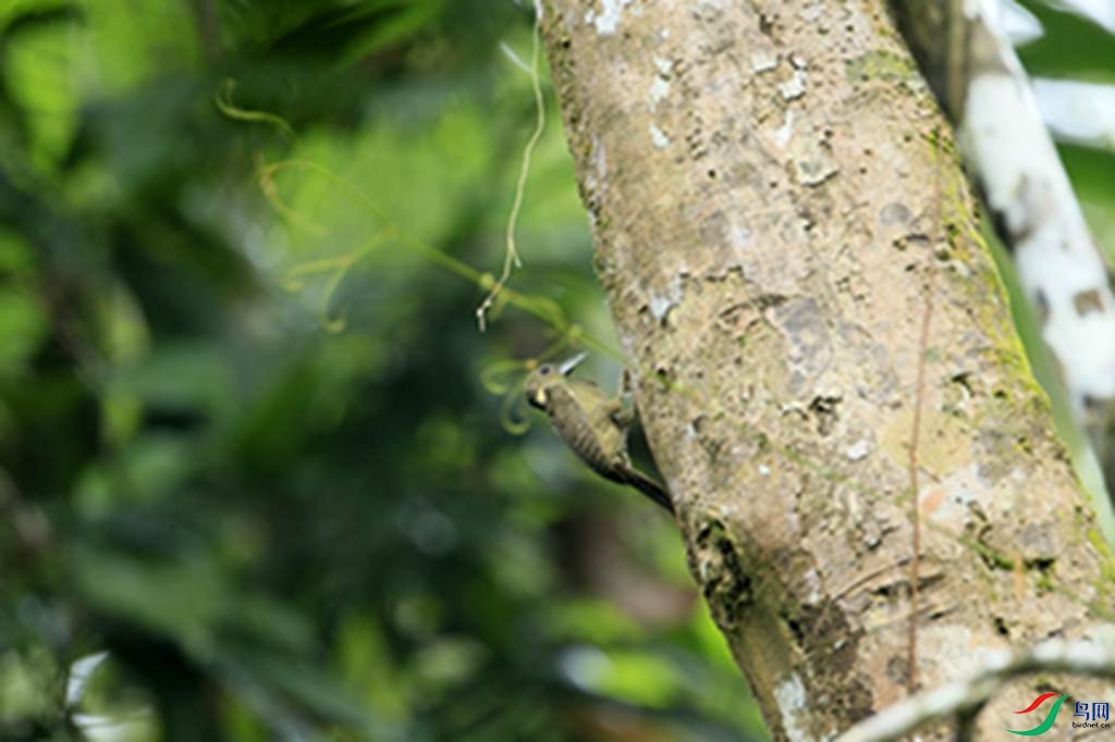 133.jpg