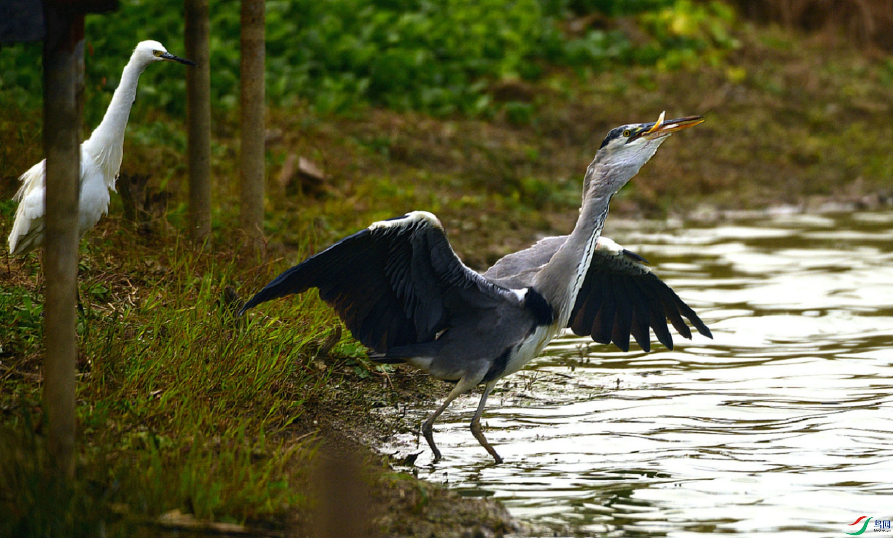 DSC_5986 - ����.jpg