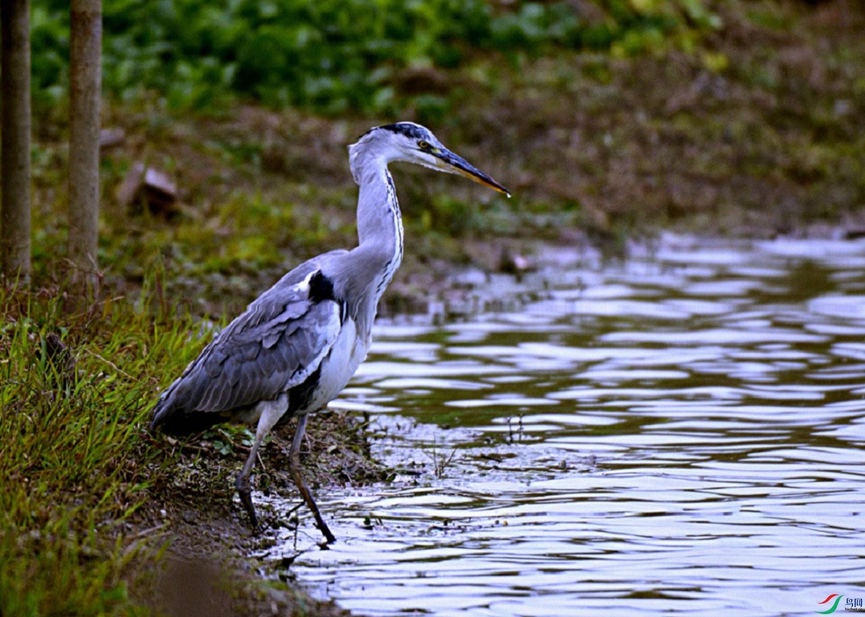 DSC_6015.jpg