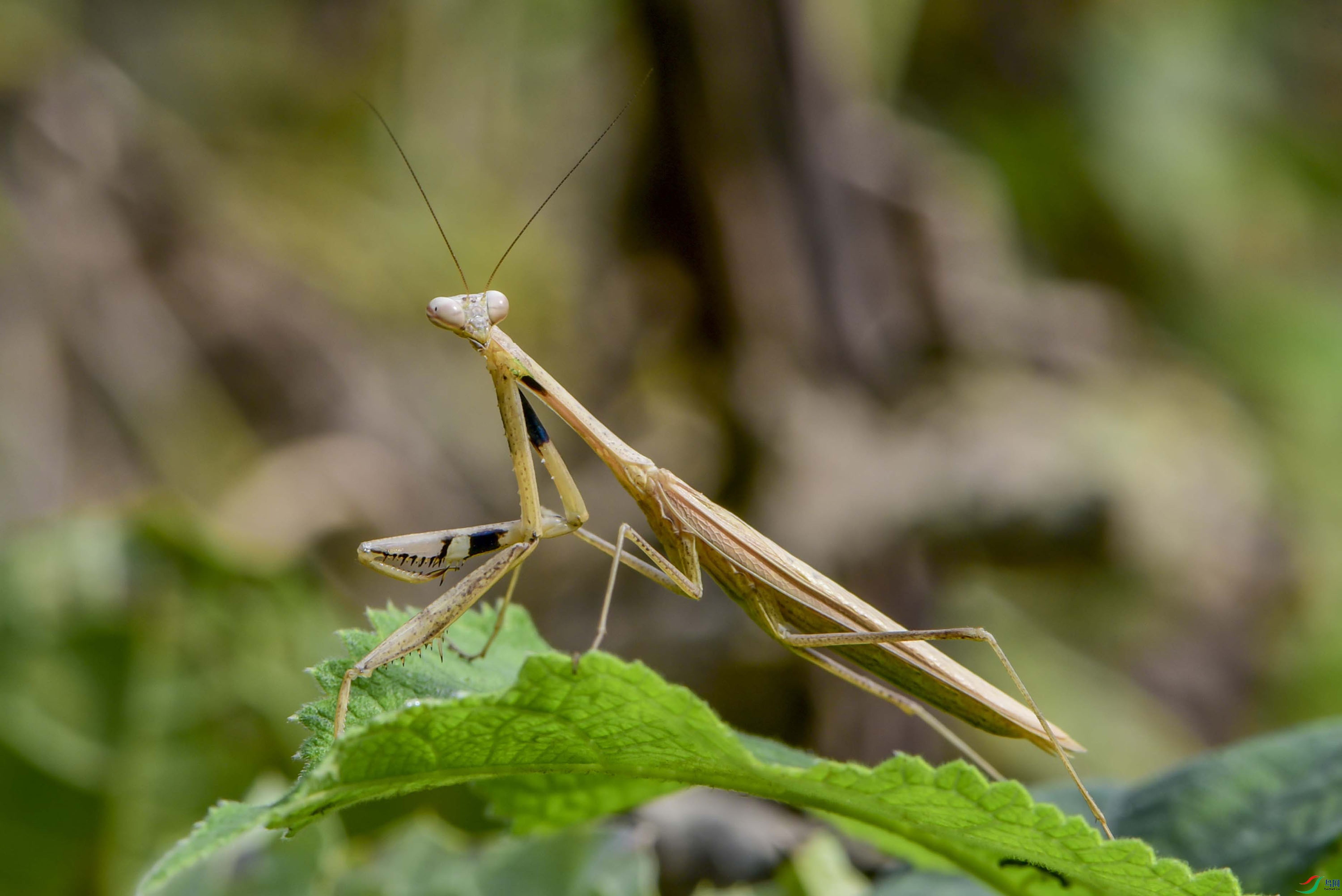 DSC_9780.jpg