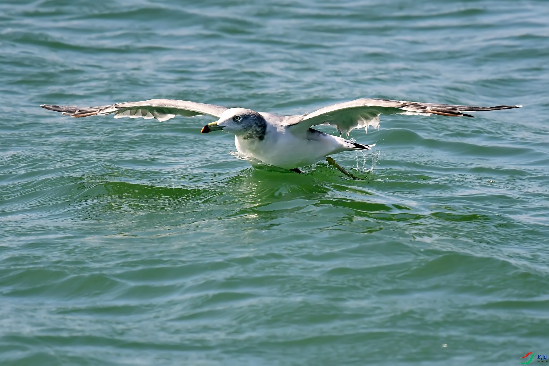 DSC_0024.jpg