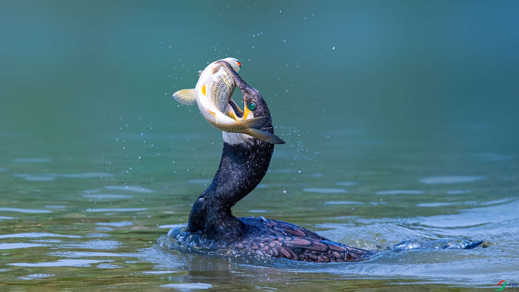 DSC_75941.jpg