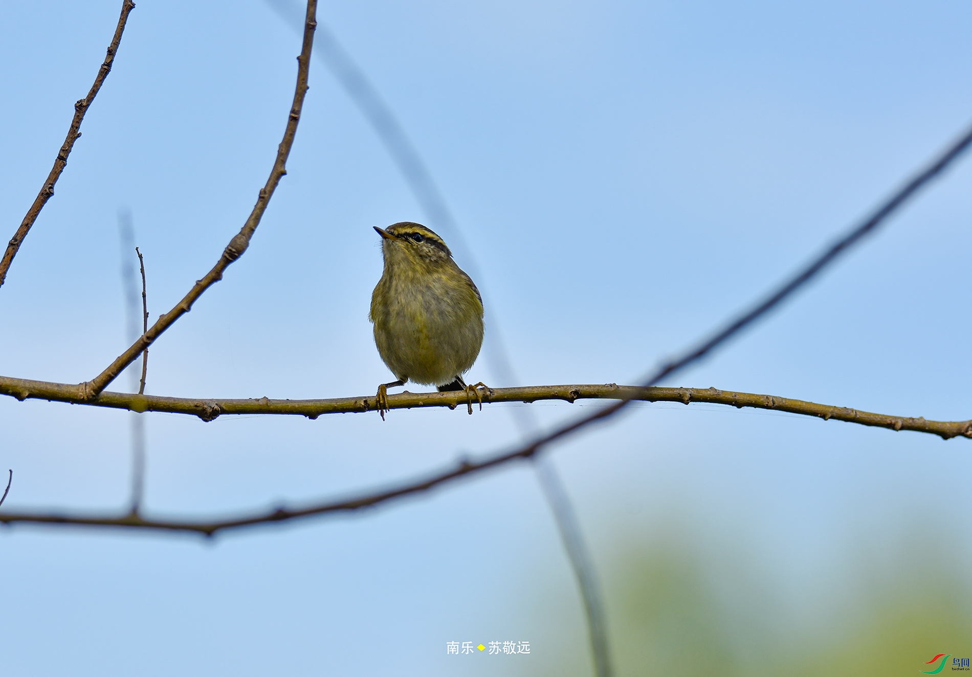_DSC6510С.jpg