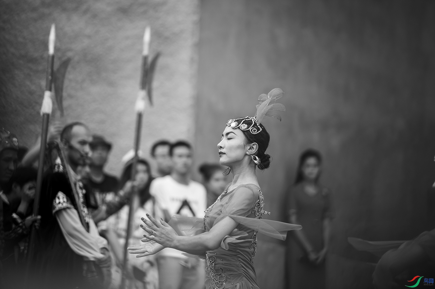 _DSC9137.jpg