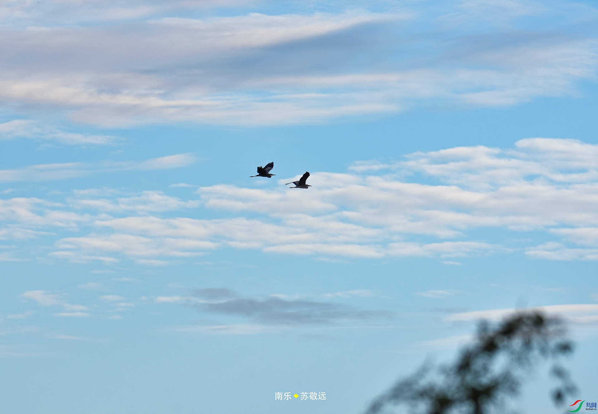 _DSC6789С.jpg
