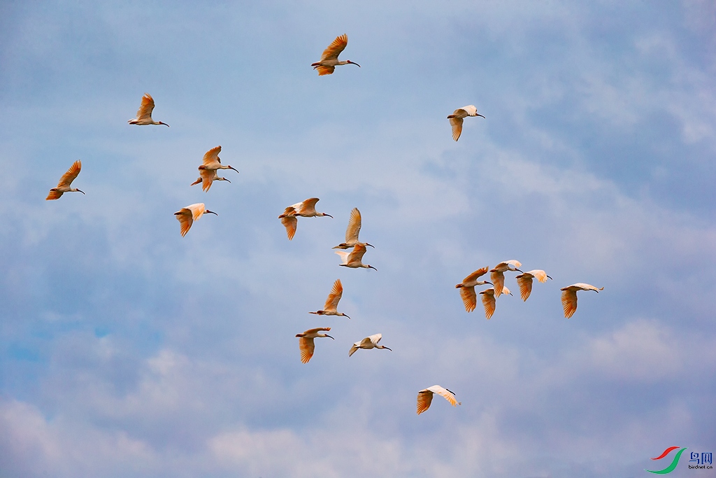 Canon__Canon EOS-1D X__2021_08_24__ef3d43.jpg