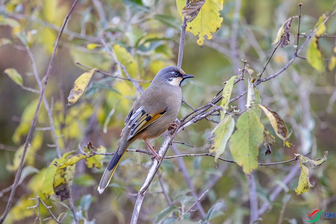 ��������  ��ʦ�����������������տ��������¡��.jpg