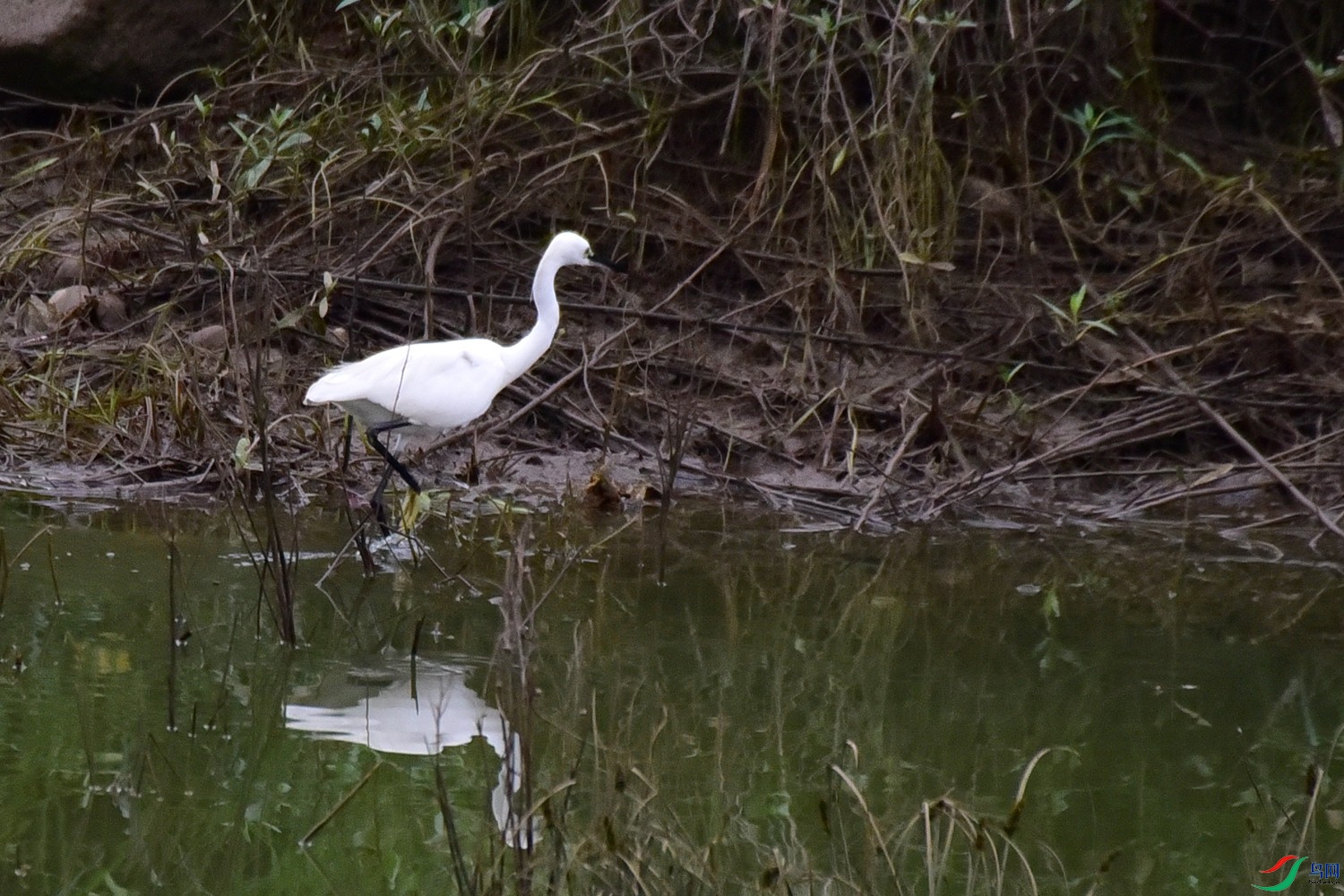 DSC_7152.JPG