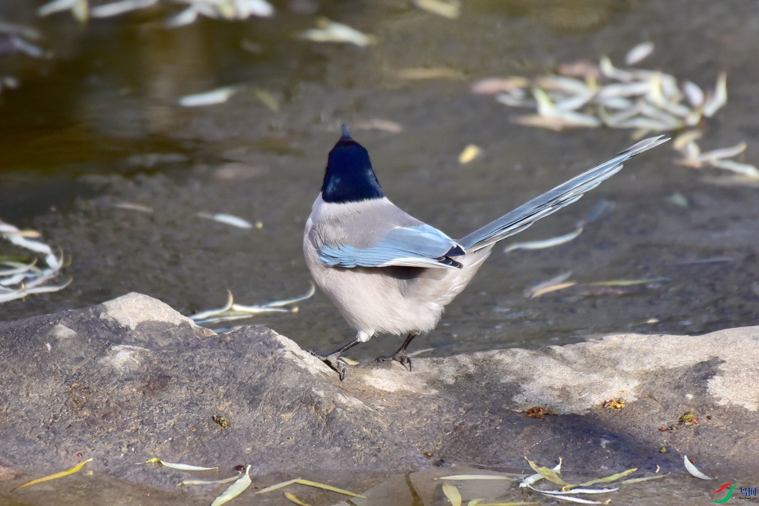 DSC_7782.JPG