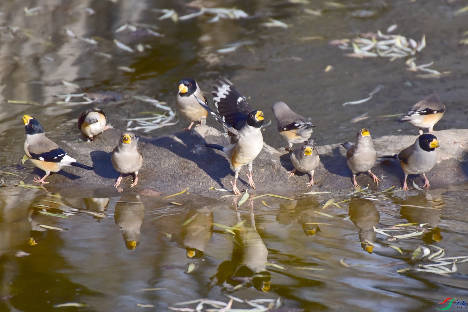 DSC_7809.JPG