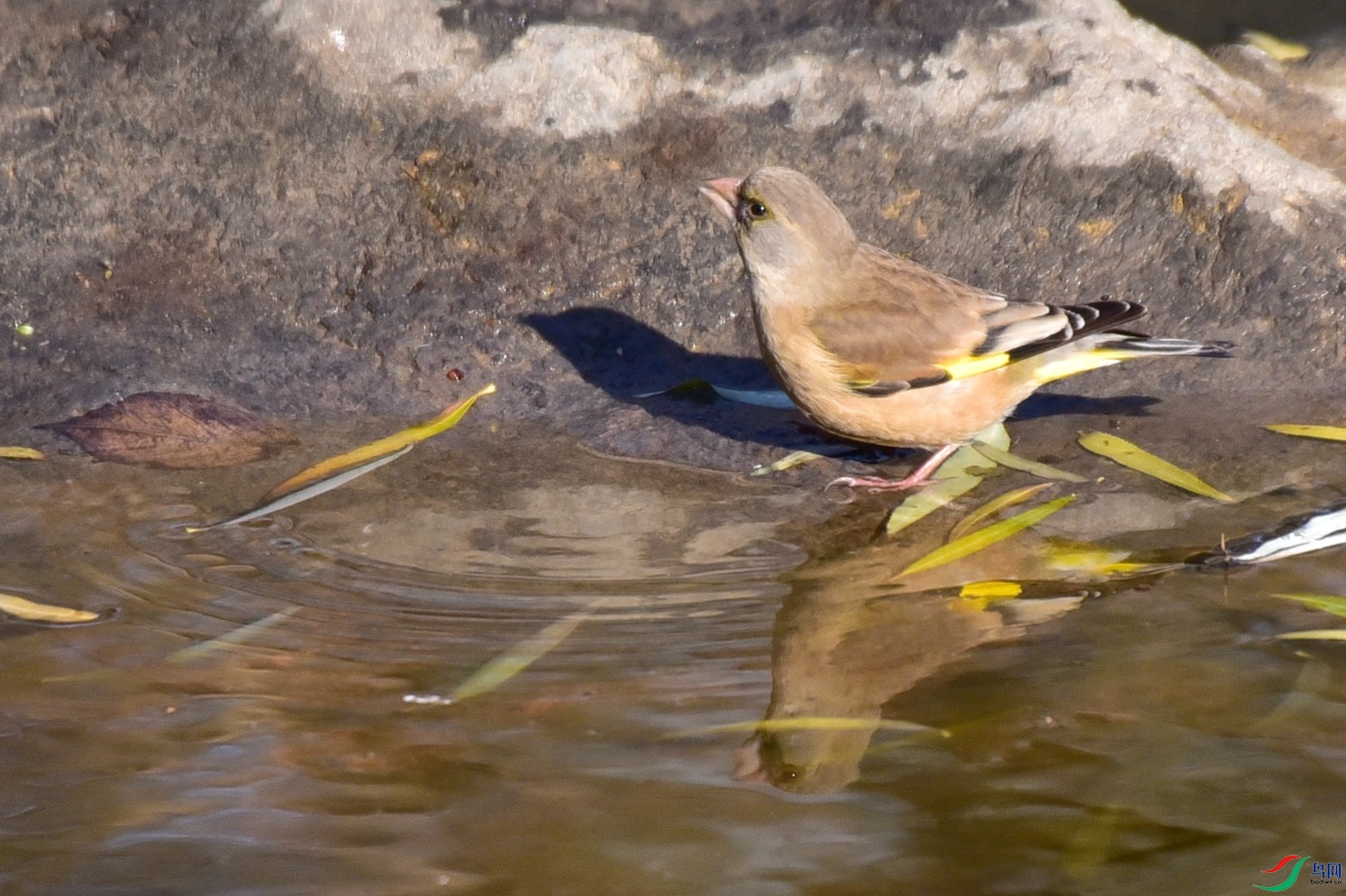 DSC_7962.JPG