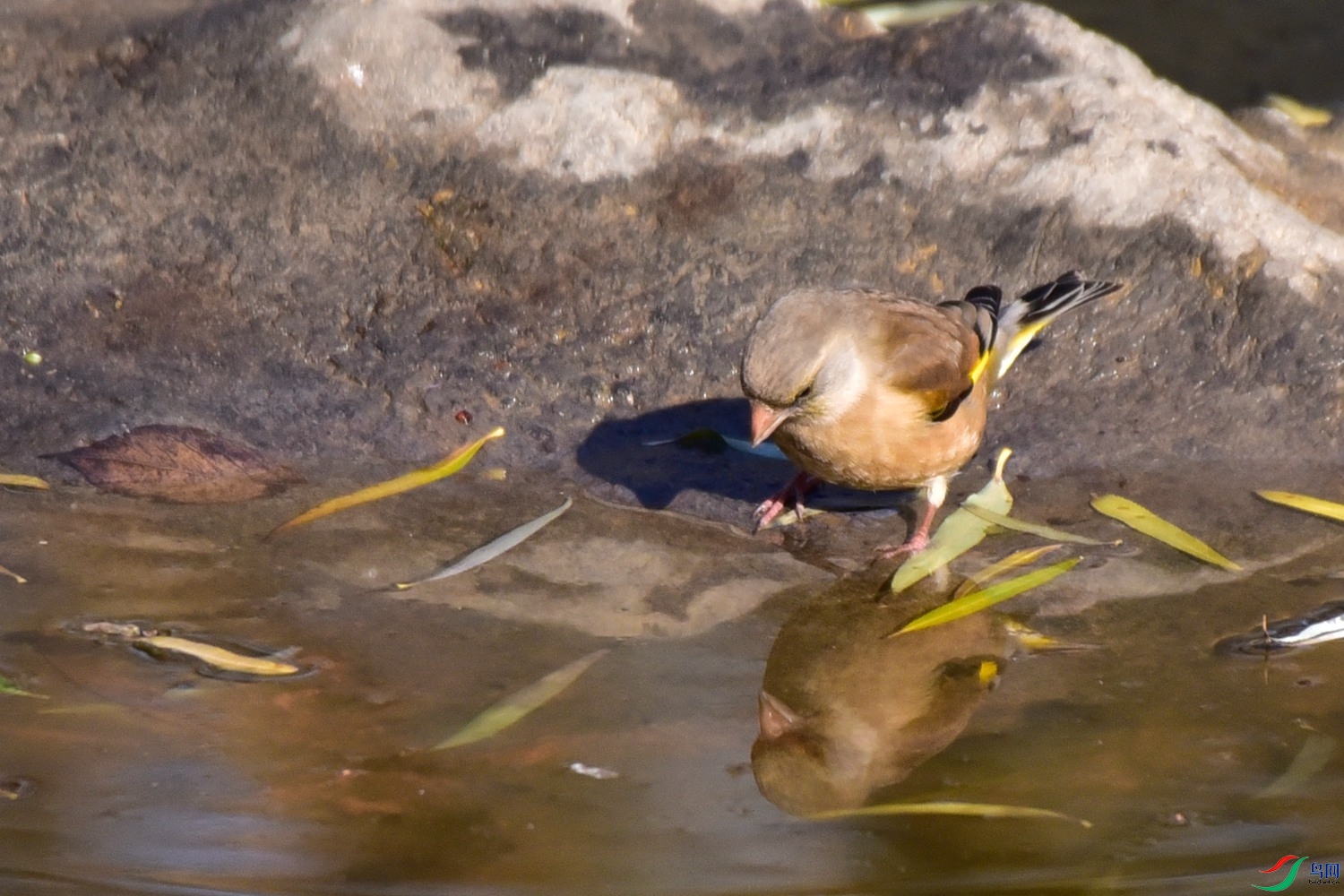 DSC_7952.JPG